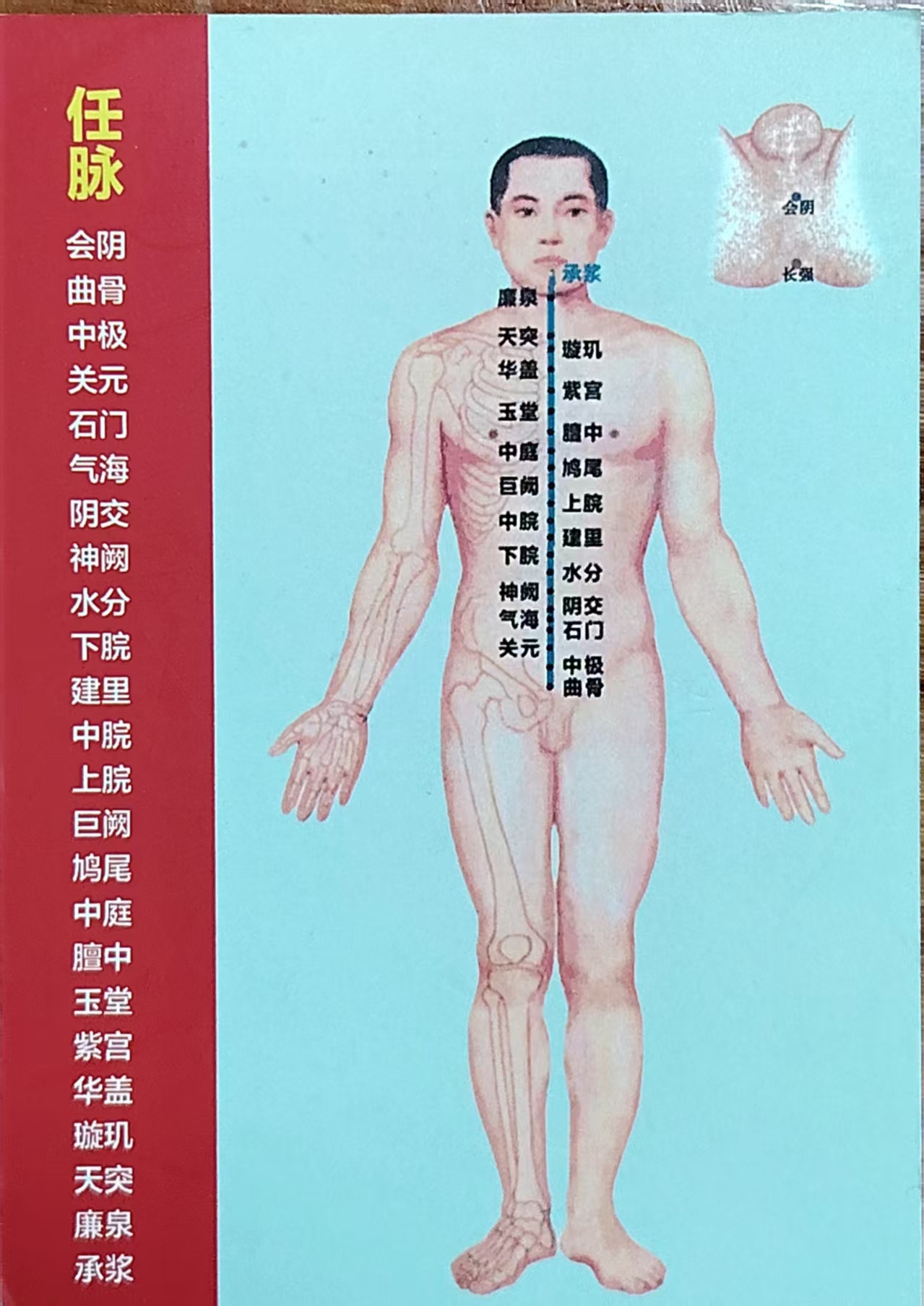 任脉循行图