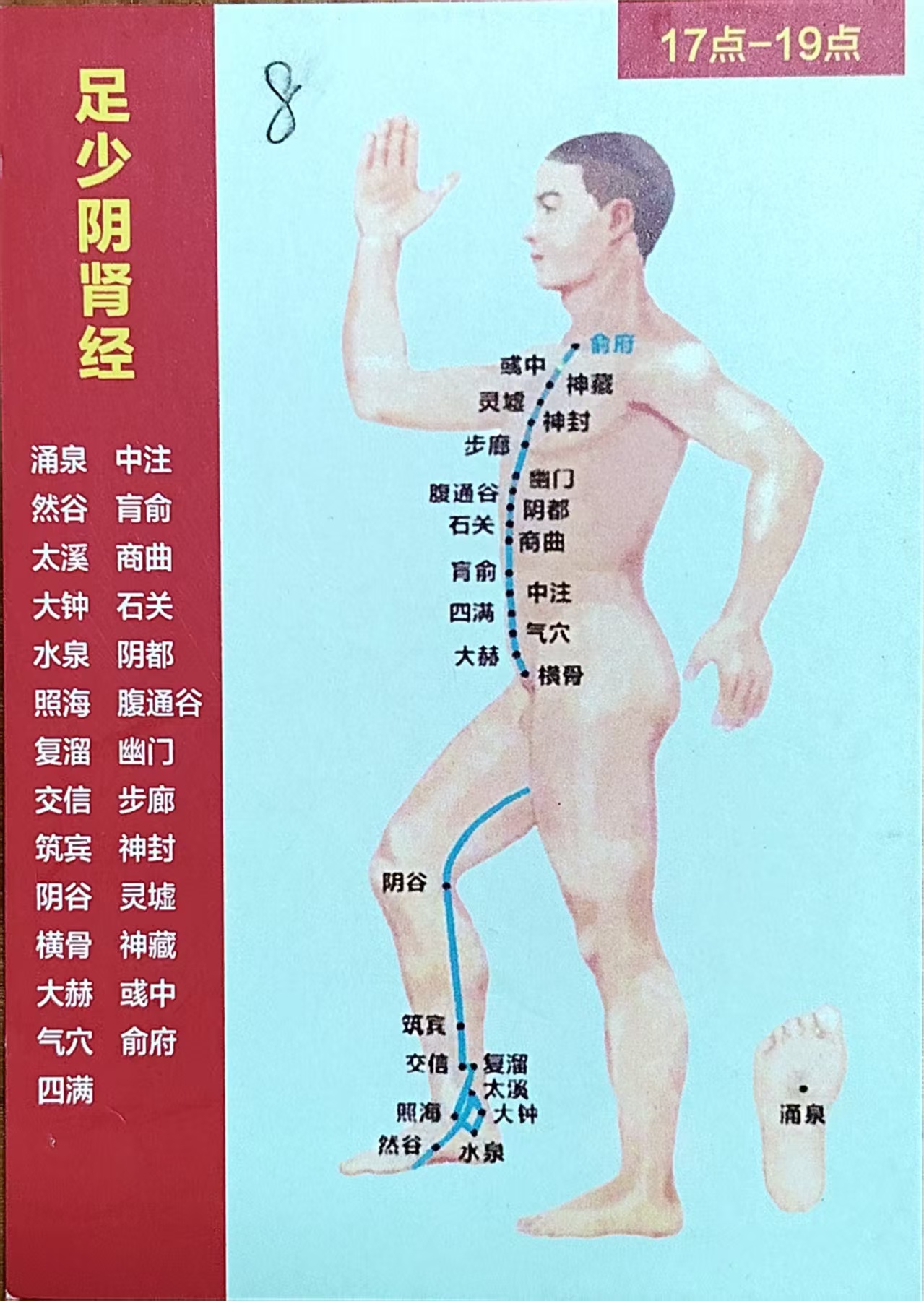 足少阴肾经循行图