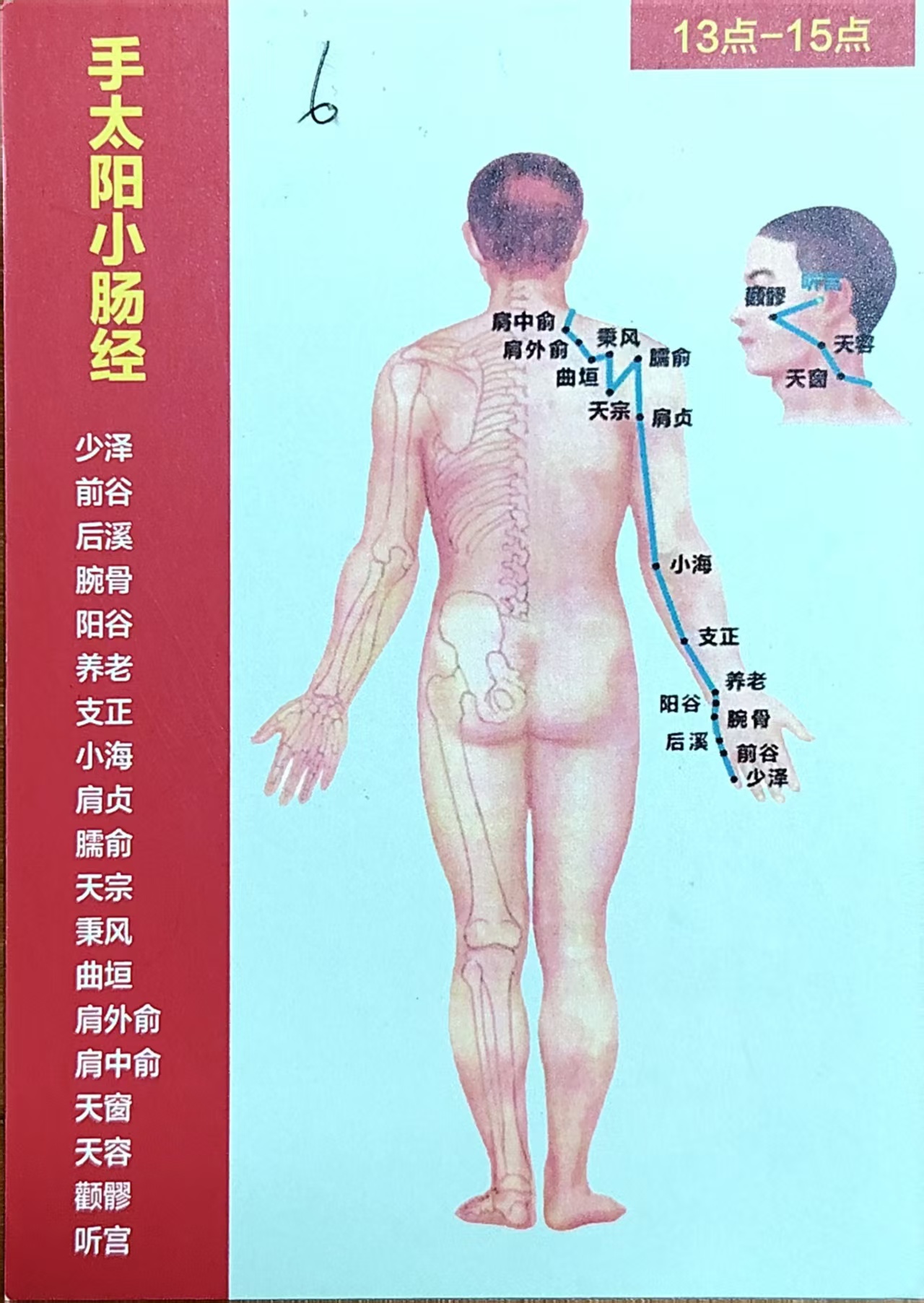 手太阳小肠经循行图