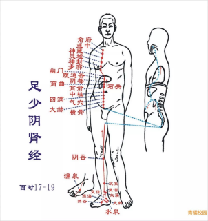 足少阴肾经五腧穴表