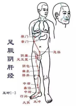 足厥阴肝经五腧穴表